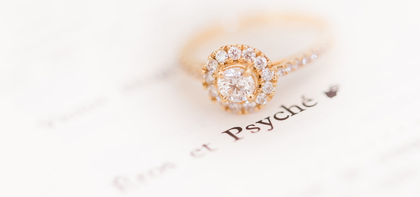 Pedido de Casamento em Paris